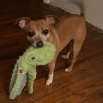 Wilma Long Moore - @wilma0456 - Instagram