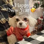 Wilma Becker Mack - @wilma_mack - Instagram