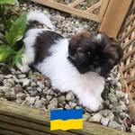 Wilma Mackie - @mackiewilma - Instagram
