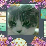 Wilma Smith Main - Facebook