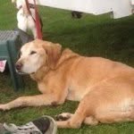 Wilma Mclean - @wm010a3376 - Instagram