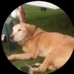 Wilma Mclean - @wm010a3376112 - Instagram