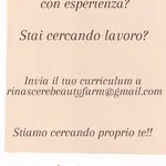 Wilma Miles - @wilmamiles51 - Instagram