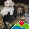 Wilma Miranda - @wilma.miranda34 - TikTok
