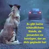 wilmamoser5 - @wilmamoser5 - TikTok