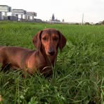 Wilma Mueller - Facebook