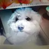 Wilma Nelson - @wilma.nelson - TikTok