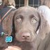 Wilma Riley - Facebook
