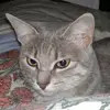 Wilma Paola Rossi - @kadymillon - TikTok