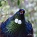 Wilma Sharp - Facebook