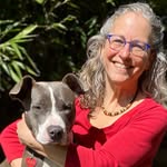 Gracie & Friends Holistic Pet Health - @wilmashawntp - Instagram