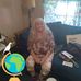 Wilma Shaw - Facebook