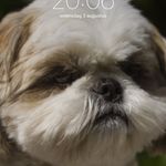 Wilma Simons - @kwiltma - Instagram