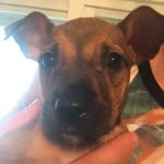 Wilma Stanton - @pcwiz42 - Instagram