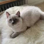 WILMA - @wilmafuegostone - Instagram