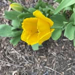 Wilma Sullivan Bittinger - @bittingerwilma - Instagram