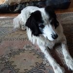 Wilma Sutherland - @wilma.sutherland.338 - Instagram