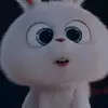 WILMA VASQUEZ CHOQUE - @wilma.vasquez.cho - TikTok
