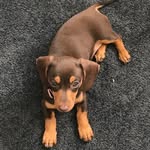 Lauren Rose Walters - @wilma.walters.2007 - Instagram