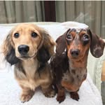 W I L M A  &  W A L T E R - @wilma_and_walter - Instagram