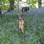 Walter & Wilma - @atwalterandwilma - Instagram