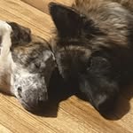Walter & Wilma - @walter_and_wilma - Instagram