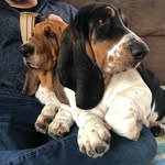 Walter and Wilma - @walterandwilmawrinkles - Instagram