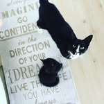 Walter&wilma - @walterandwilma - Instagram
