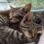 Wilma & Walter - @_wilma_walter - Instagram