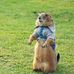 Wilma Walter - Facebook