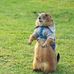 Wilma Walter - Facebook