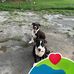Wilma Washington - Facebook
