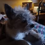 Wilma Weaver - Facebook