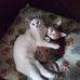 Wilma Weimer - Facebook
