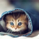 Wilma - @wilma.wilhelma - Instagram
