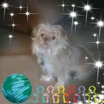 Wilma Wolfe - Facebook