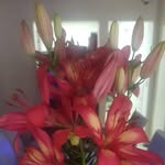 Wílmar Rincon - @warc.lhs - Instagram