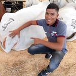wilmer Colón - @colon_wilmer - Instagram