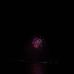 Wilmer Olsson - Facebook
