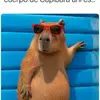 TN - @wilmerrojas708 - TikTok