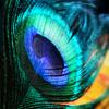 Abraham Wilson - @abraham.wilson40 - TikTok