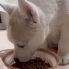 Anthony Wilson - @anthony.wilson20 - TikTok