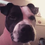 Wilson Archer - @wilson.archer - Instagram