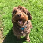 Wilson stanley Archer - @wilsonarcher2010 - Instagram