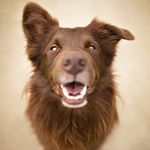 Ginger Wilson Barton - @ascottishfever - Instagram