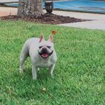 Wilson Becker - Facebook