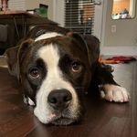 Wilson Berger - @wilson_berger_ - Instagram