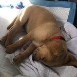 Wilson Bergeron - @wilsonbbergeron - Instagram