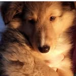 Wilson - @wilson._.black - Instagram