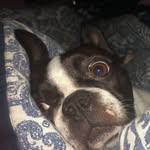 Bones Wilson - @bones.wilson - Instagram